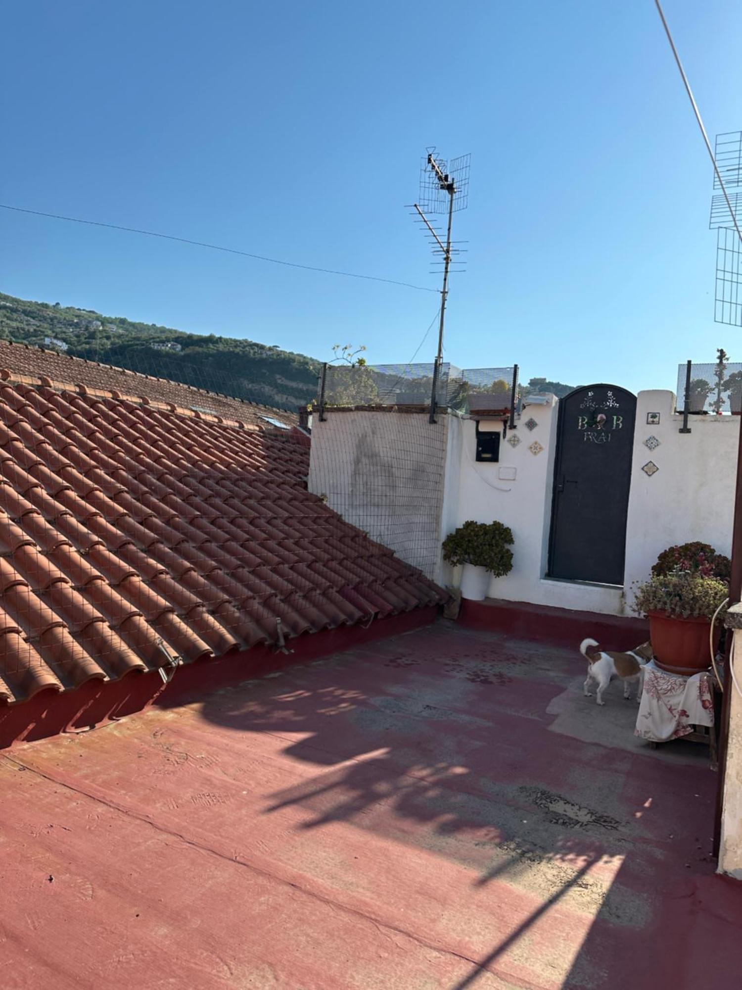 B&B Frai Sorrent Exterior foto